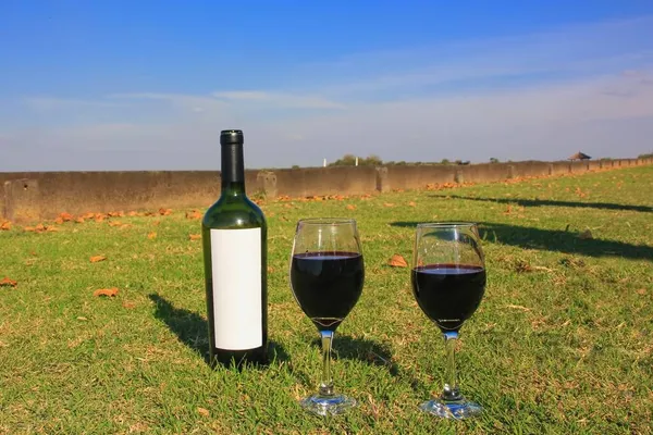 Focus selettivo sulla bottiglia di vino da vicino con etichetta bianca e bicchieri con vino rosso sul prato contro il cielo blu. — Foto Stock