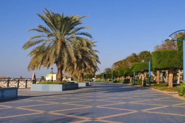 Palmiye ağaçları ve çalı çalılarıyla sahil kenarında gezinme alanı. Abu Dabi, BAE 'deki ünlü Corniche yolu.