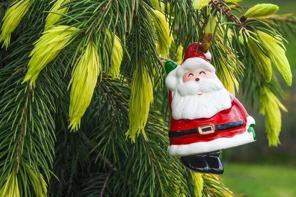 Santa claus na vánoční stromeček — Stock fotografie