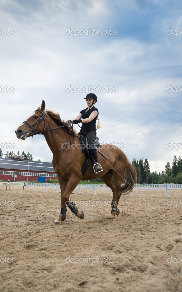 The Horse Rider