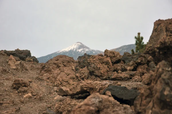 Volcano Teide — Stock Photo, Image