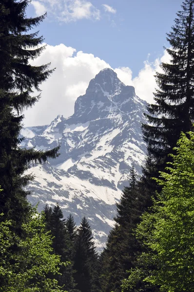 Dağlar dombay — Stok fotoğraf