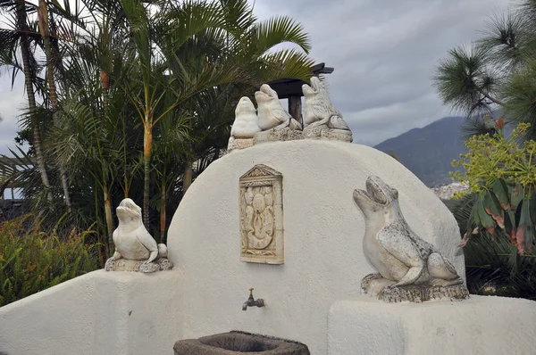 kurbağaların şarkı