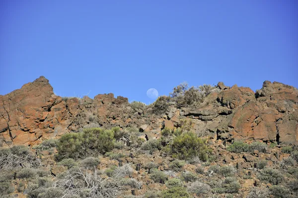 Dağlarda ay ışığı