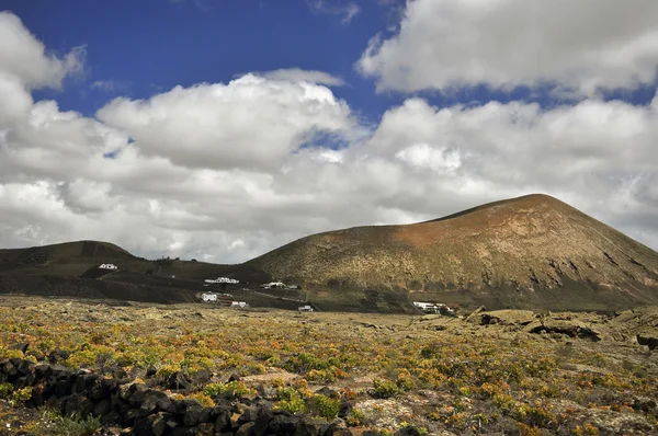 Lava Field — Stock Photo, Image