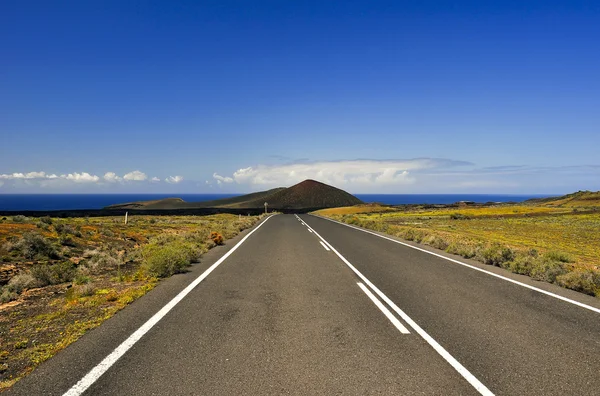 The road to the ocean. — Stock Photo, Image