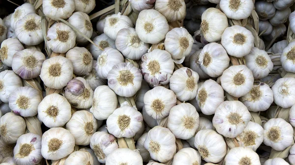 Alho no mercado — Fotografia de Stock