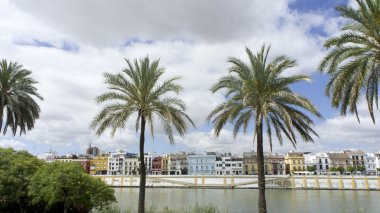 Betis sokak gelen guadalquivir (seville)