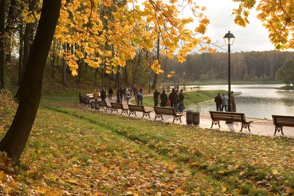 En park på hösten. Stockfoto