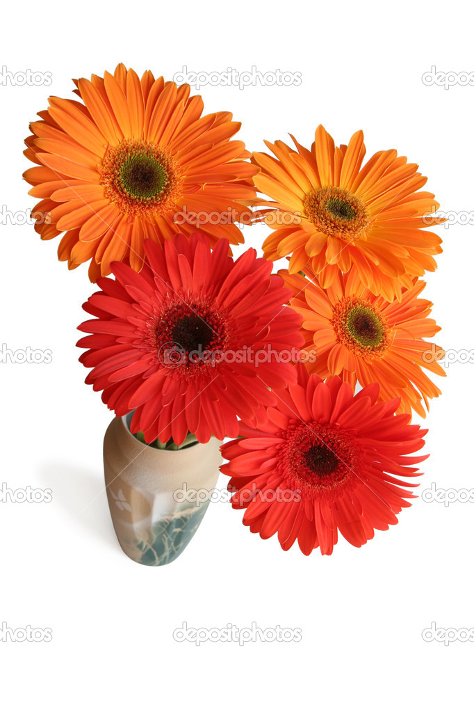 The bouquet of gerbera's flowers, view from above