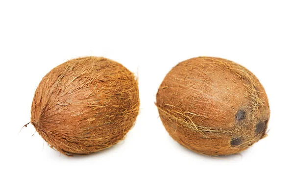 Coconuts Whole Isolated White Background Clipping Path —  Fotos de Stock