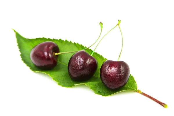 Three Ripe Organic Cherries Lie Green Leaf Isolated White Background — Zdjęcie stockowe