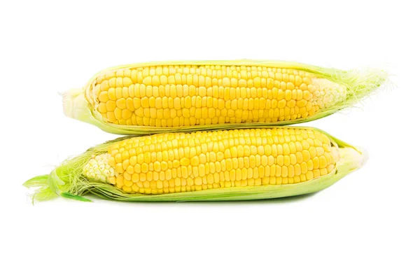 Спелые Свежие Органические Кукурузы Полностью Изолированы Белом Фоне — стоковое фото