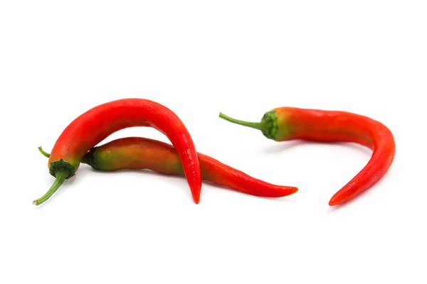 Organic Red Hot Chili Peppers Isolated White Background — Stock Photo, Image