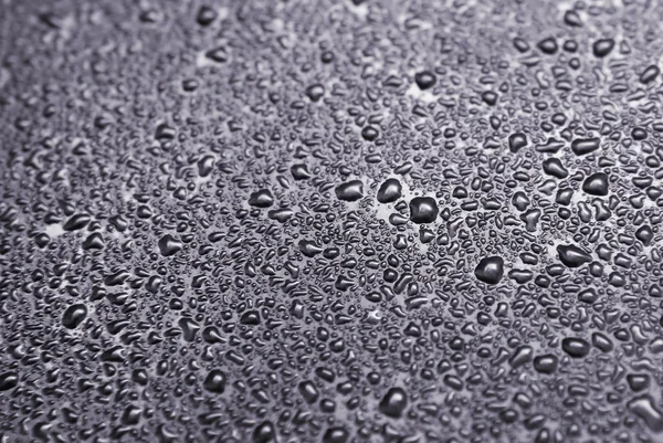Water drops - macro — Stockfoto