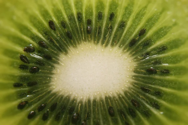 Kiwi frais — Photo