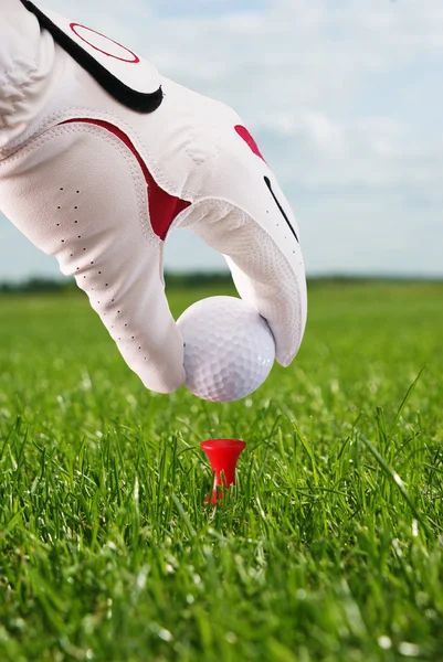 Campo da golf — Foto Stock