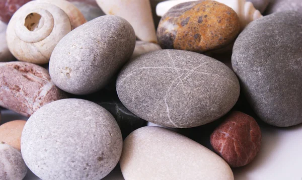 Denizden gelen taşlar