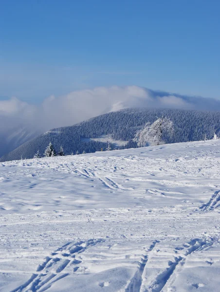 Berglandschaft — Stockfoto