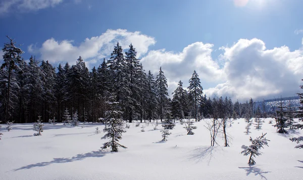 Mountain Landscape — Stock Photo, Image