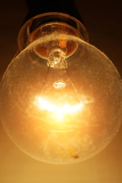 The old bulb — Stock Photo, Image