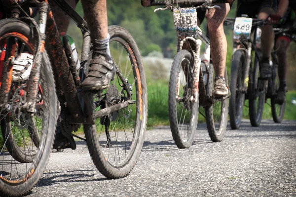 Dağ Bisikleti Yarışı — Stok fotoğraf