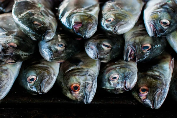 Frischer Fisch auf Planke — Stockfoto
