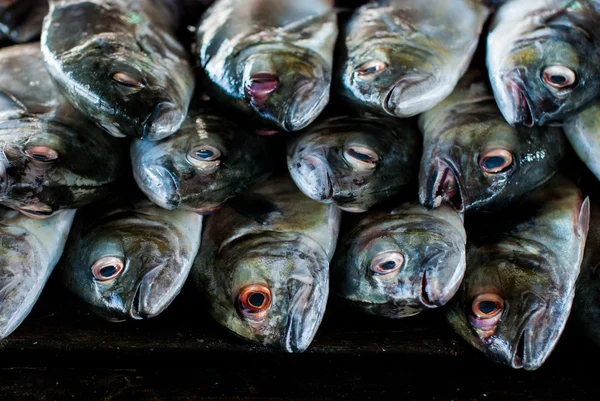 Fresh fish on plank — Stock Photo, Image