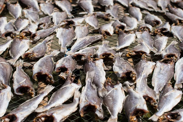Suszone ryby w rynku sprzedaży — Zdjęcie stockowe