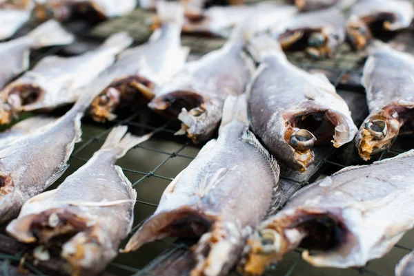 Pescado seco —  Fotos de Stock