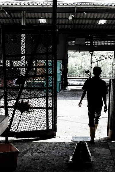 Hombre trabajador — Foto de Stock