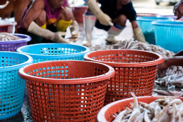 Pescadores clasificando peces —  Fotos de Stock