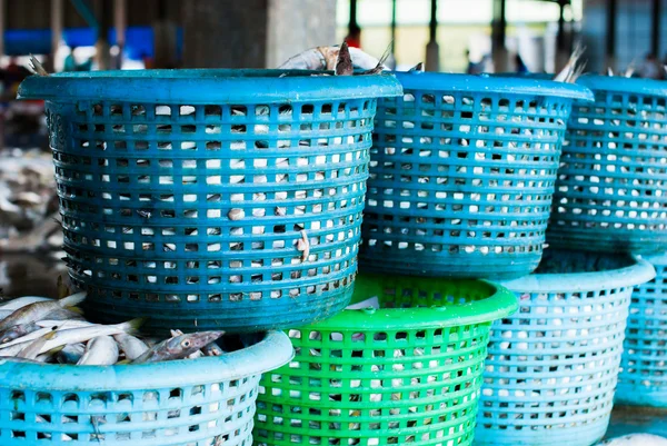 Pescado fresco en una cesta — Foto de Stock