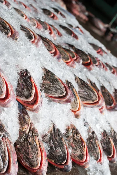 Pesce fresco sul ghiaccio — Foto Stock