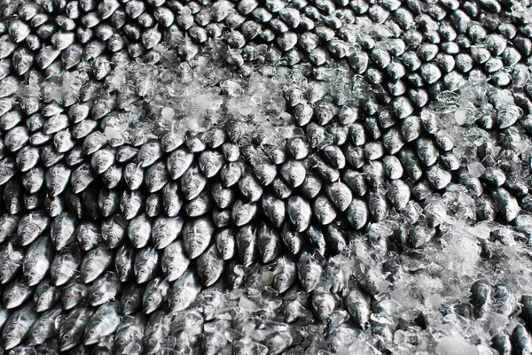 Travertino ondulado gris — Fotos de Stock © Koraysa #93685692