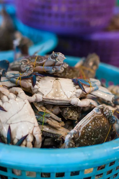 Horse crab in market — Stock Photo, Image