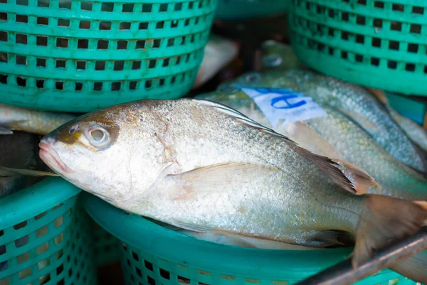Fresh fishes in basket — Stock Photo, Image