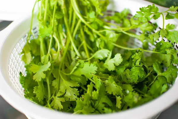 sepet içinde taze kişniş