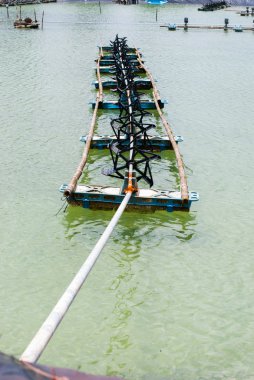 aerator karides çiftlikleri