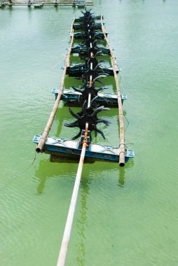 aerator karides çiftlikleri