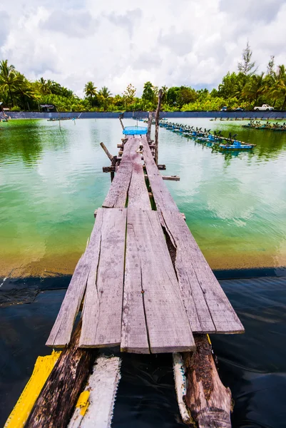 Vieux pont en bois — Photo