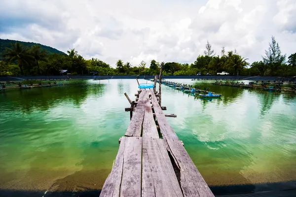 Puente de madera viejo — Foto de Stock