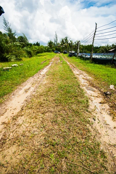 Route de boue — Photo