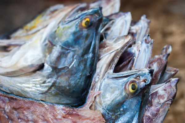 Gesicht von getrocknetem Fisch — Stockfoto