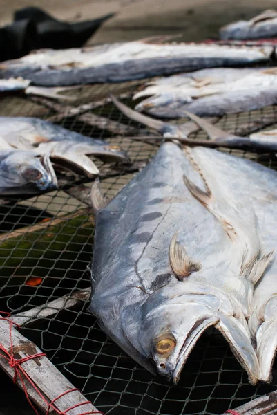 Pescado seco — Foto de Stock