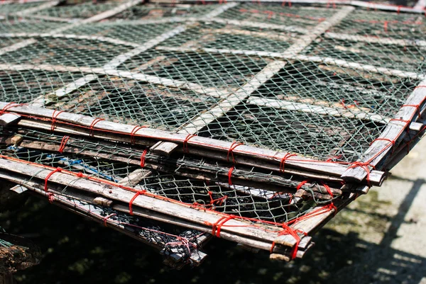 A rede para peixes salgados — Fotografia de Stock