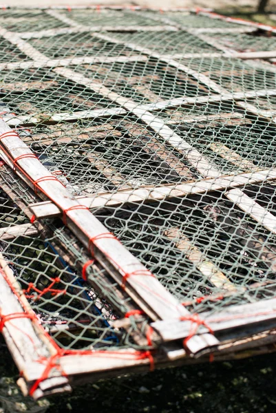 The net for Salted fish — Stock Photo, Image