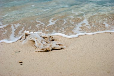 plaj plastik poşet israf yukarıya kapatmak