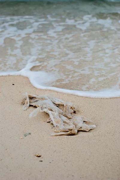 Close up plastic bag waste on the beach — Stock Photo, Image