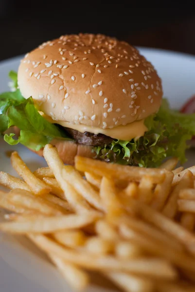 Cheeseburger und Pommes — Stockfoto